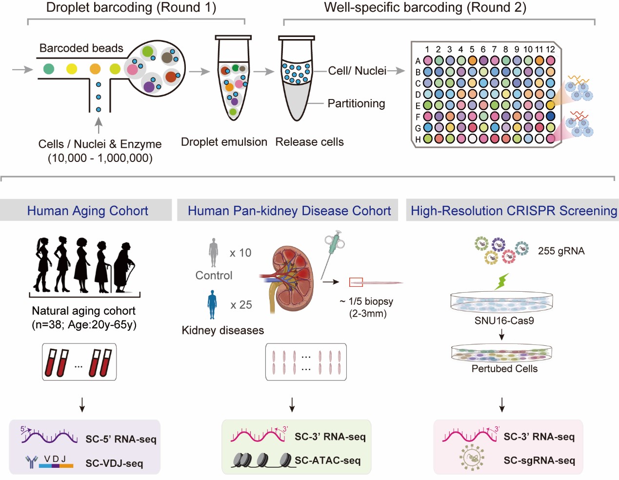 ÓÀÀû¼¯ÍÅ¡¤yl(ÖйúÓÎ)¹Ù·½ÍøÕ¾